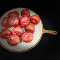未提供相片說明。