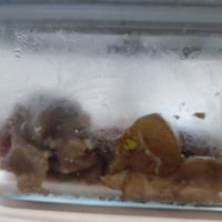 未提供相片說明。