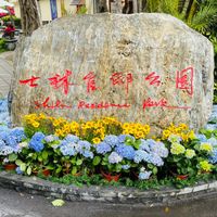 未提供相片說明。