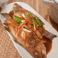 未提供相片說明。