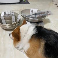 可能是文字的圖像