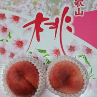 可能是文字的圖像