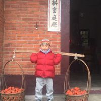未提供相片說明。