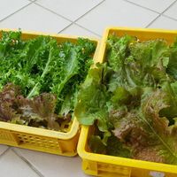 未提供相片說明。
