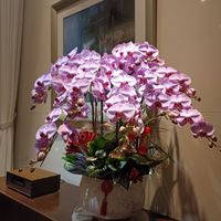 未提供相片說明。