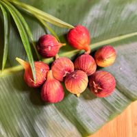 可能是無花果的圖像
