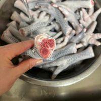 未提供相片說明。