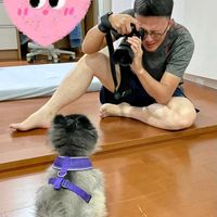 可能是 1 人和動物的圖像