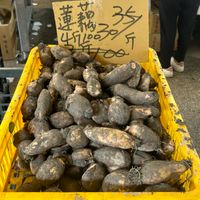 可能是 1 人和文字的圖像