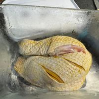 可能是食物的圖像