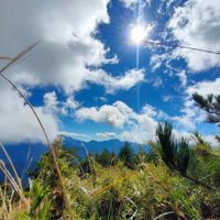 可能是雲、山和草的圖像