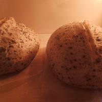可能是法式長棍麵包、黑麥麵包和馬勃菇的圖像