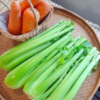 可能是文字的圖像