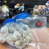 可能是玩具的圖像