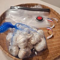 可能是馬勃菇和文字的圖像