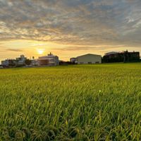 可能是儲倉、草、雲、大自然、地平線和暮光的圖像