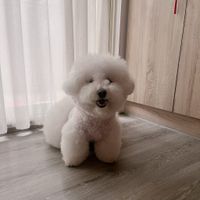 未提供相片說明。