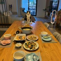 未提供相片說明。