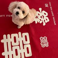 可能是狗和顯示的文字是「 H 1 SPECIAL GOFT FOR SPECIALOFFORYU YOU FT FTFOR FOR ΧΙ γου 护 SPECIAL SPECIAL FOR GOFT #88 ዘርዜ 囍。」的圖像