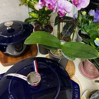 可能是泡茶器和文字的圖像