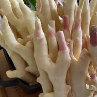 可能是食物的圖像