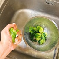 可能是莙薘菜的圖像