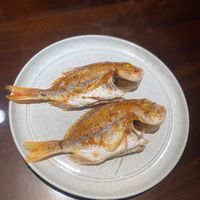 可能是食物的圖像