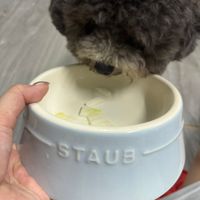 可能是顯示的文字是「 STAUB 」的圖像