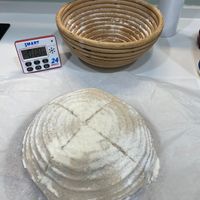 可能是黑麥麵包和顯示的文字是「 SMART 24 」的圖像