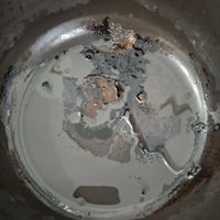 可能是食物的圖像