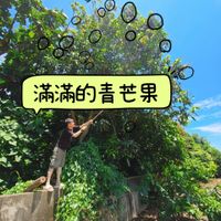 可能是 1 人和文字的圖像