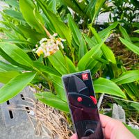 可能是電話和文字的圖像