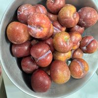 可能是水果的圖像