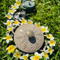 可能是顯示的文字是「 STAUB 」的圖像