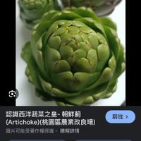 可能是顯示的文字是「 11:34 99 農業部桃園區農業改良場 認識西洋蔬菜之皇- 朝鮮蔔 （Artichoke）（桃園區農業改良場) (Artichoke)( 圖片可能受著作權保護 瞭解詳情 前往＞ 前往 分享 口 口儲存 M Q朝鮮蔔」的圖像