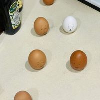 可能是食物的圖像
