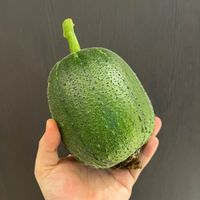 未提供相片說明。