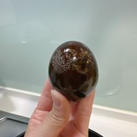 未提供相片說明。