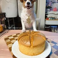 可能是戚風蛋糕的圖像