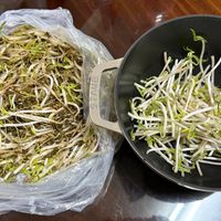可能是食物的圖像