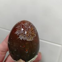 未提供相片說明。
