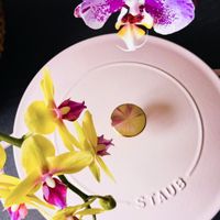 可能是萬代蘭屬和文字的圖像