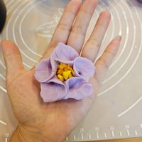 可能是食物和桔梗的圖像