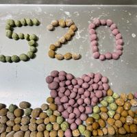 可能是顯示的文字是「 Ces 주선 」的圖像