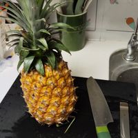 可能是水果的圖像
