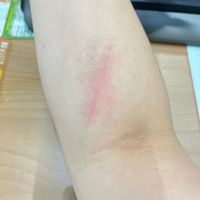 未提供相片說明。