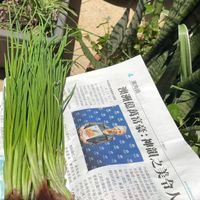 可能是文字的圖像