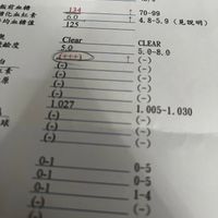 可能是票根和顯示的文字是「三酸甘油脂 高蜜度騰固醇 低密度膽固醇 血管硬化指載 189 104 47 132 4.06 <200 (DM;CVD<160) (DM; <150 50 >40 <130 30 (DM; (DM;CVD<100) <5. 0 飯前血糖 化血紅素 均血糖值 134 6.0 125 70-99 8-5.9 （見說明） Clear 5.0 (+++)) （+十十） )-( )- 1027 (- CLEAR 5. 5.0-8.0 8 (-) -1.005-1 1. 005-1.030 005- 1.030 ((= PICO 」的圖像