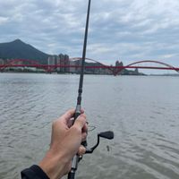 可能是 1 人、釣魚和釣竿的圖像