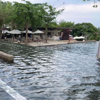 可能是游泳和水池的圖像